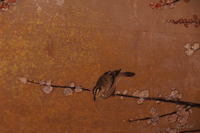 experience-image-16