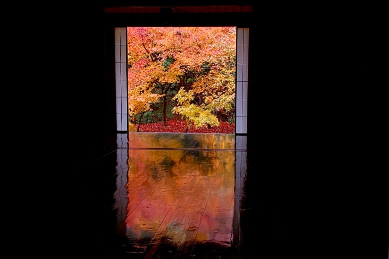 experience-image-27
