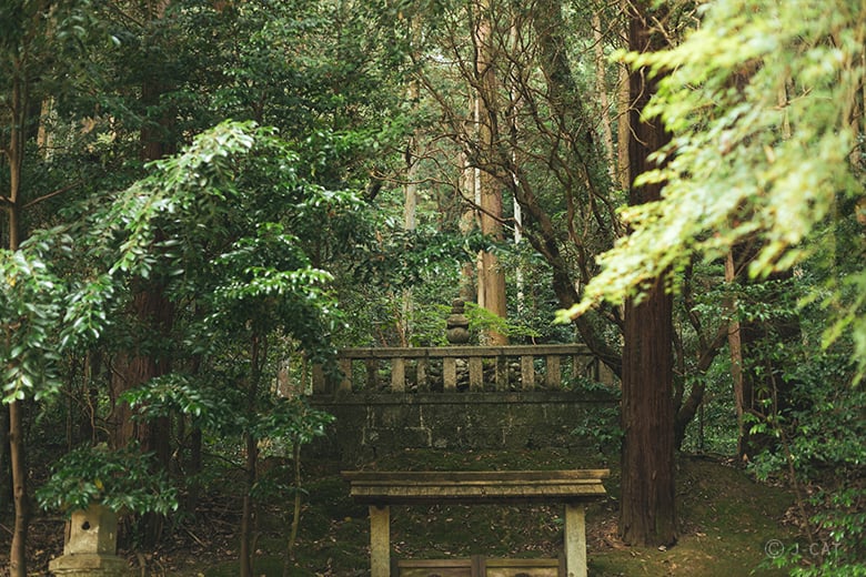 experience-image-1
