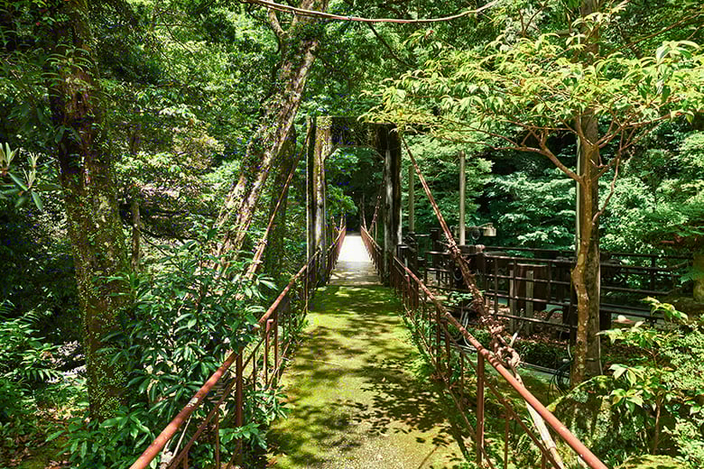 experience-image-6