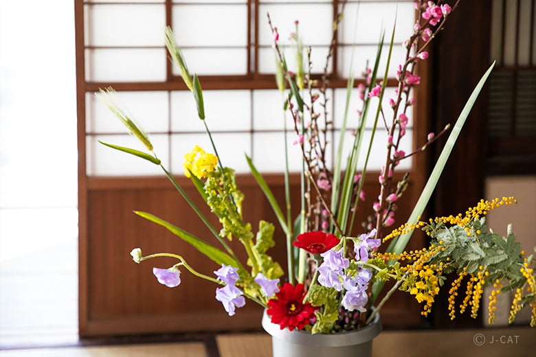 Traditional Ikebana with an Ikenobo Master ーmatcha tea time