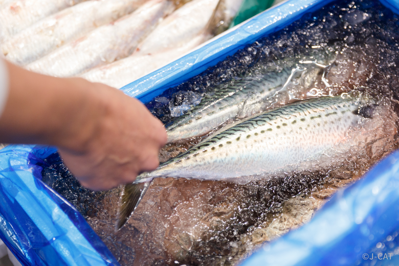 ◇Fish Market◇２２×２０×１５◇ ◇ Private Toyosu Market Off-Limits Wholesale Area Tour with an