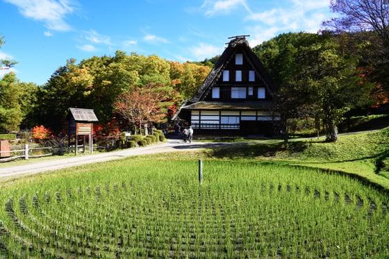 https://storage.otonami.jp/images%2F02b34946-ebc7-4203-9888-e0451c5cb427?alt=media
