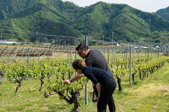 https://storage.otonami.jp/images%2F19d17c21-a279-452e-9463-2e5eb6a3df10?alt=media