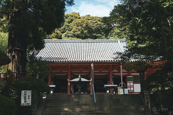https://storage.otonami.jp/images%2F507c5e3f-28d7-48fd-b9c1-3155d3169e80?alt=media