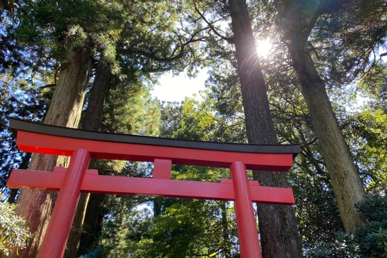 https://storage.otonami.jp/images%2F61c4a334-cbc1-4873-86d6-c97ebdd89d46?alt=media