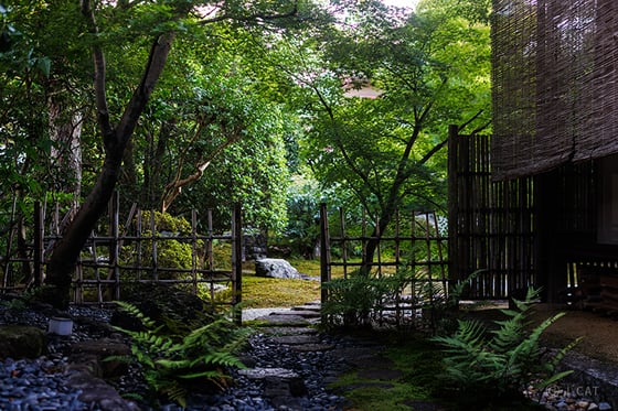 https://storage.otonami.jp/images%2F72dbdebd-9b3c-4a86-9979-b7e92da6fd7e?alt=media