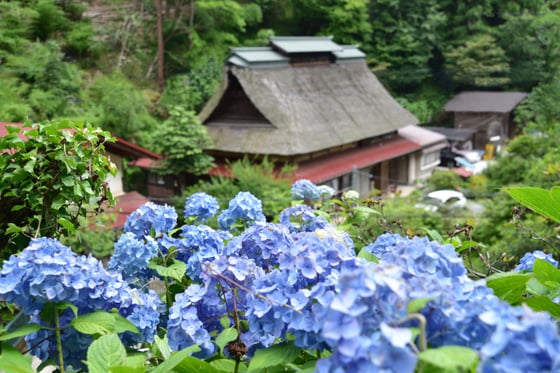 https://storage.otonami.jp/images%2F75cd4622-8c06-4a02-bcbd-3d487ea4f9f0?alt=media
