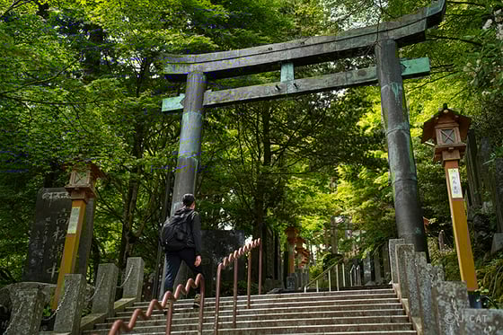 https://storage.otonami.jp/images%2Fb2102a0a-3fcf-4d9e-831d-74c59d95b281?alt=media