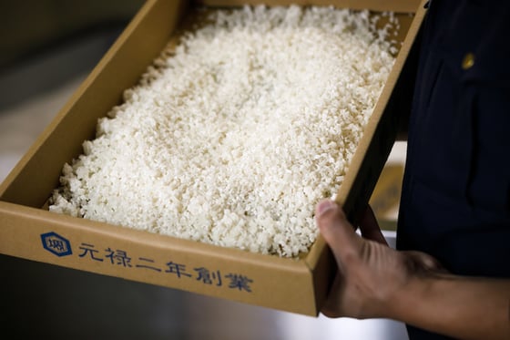 https://storage.otonami.jp/images%2Fc8593693-25f9-4aef-a32d-c456d9d8334f?alt=media