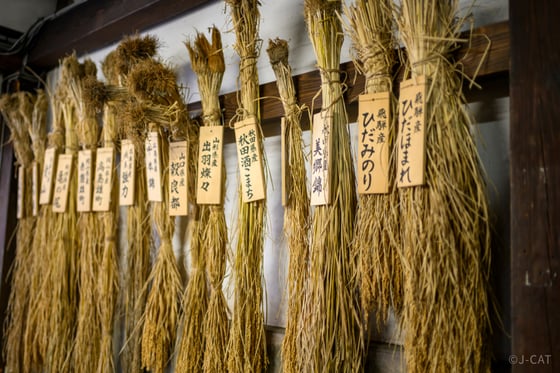 https://storage.otonami.jp/images%2Fd4721a96-8113-4047-8e7f-16e96d23a3d6?alt=media
