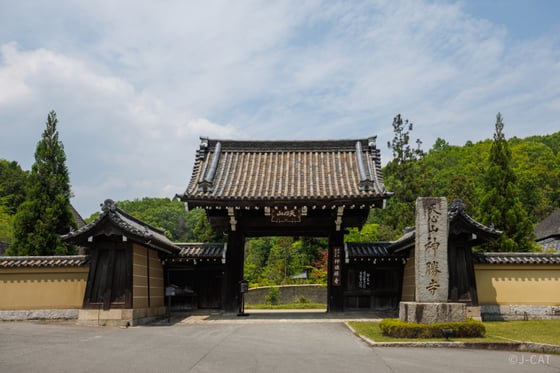 https://storage.otonami.jp/images%2Fdbd7f4c4-0141-4749-b733-89a4026ec2e6?alt=media