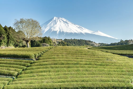 https://storage.otonami.jp/images%2Feb9098b2-9adf-452c-ad49-011f99dc2d69?alt=media
