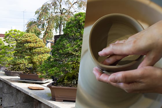 https://storage.otonami.jp/images%2Fen_chinshoen-pottery_thumbnail_2d33da15.jpg?alt=media