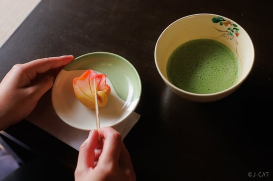https://storage.otonami.jp/images%2Fen_exclusivekyoto-tea_sub_2_7b701659.jpg?alt=media