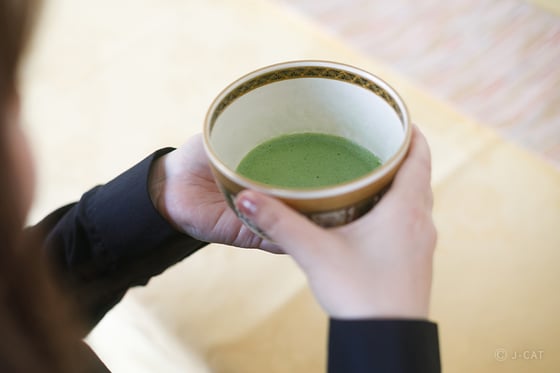 https://storage.otonami.jp/images%2Fen_fukujuen-kyoto-art_sub_0_cb6ccb0f.jpg?alt=media