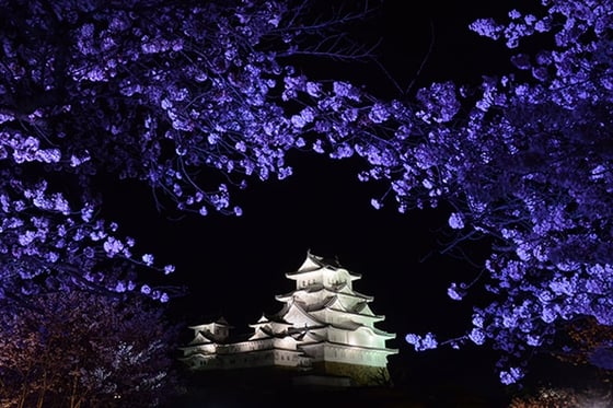 https://storage.otonami.jp/images%2Fen_himejicastle_sub_0_7447f290.jpg?alt=media