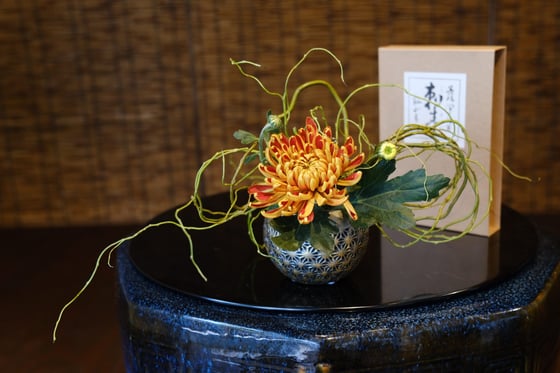 https://storage.otonami.jp/images%2Fen_ichirin-kamakura_thumbnail_37cf525e.jpeg?alt=media