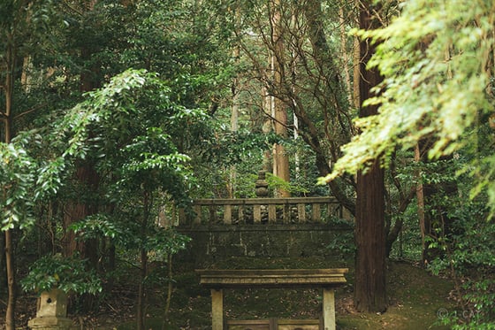https://storage.otonami.jp/images%2Fen_kanshinji-kuri_sub_1_9341e511.jpg?alt=media