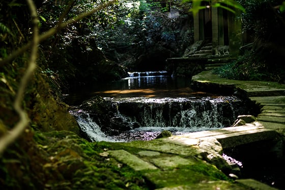 https://storage.otonami.jp/images%2Fen_kyoto-wabichakai_sub_1_080d11ec.jpg?alt=media
