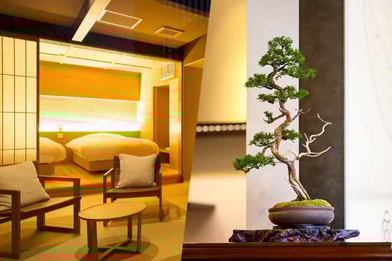https://storage.otonami.jp/images%2Fen_makinooto-bonsai_thumbnail_98f61517.jpg?alt=media
