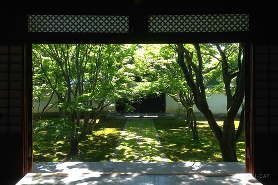 https://storage.otonami.jp/images%2Fen_myokakuji_sub_0_b0eb8bdd.jpg?alt=media
