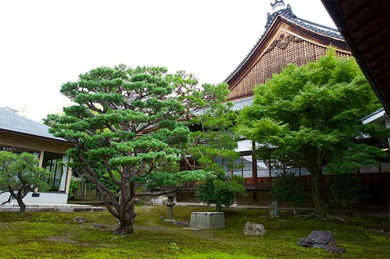 https://storage.otonami.jp/images%2Fen_myokakuji_sub_2_496b2f8a.jpg?alt=media
