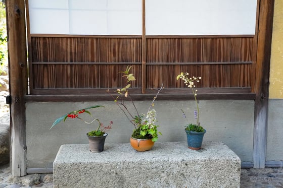 https://storage.otonami.jp/images%2Fen_nakanoya-bonsai_sub_1_f4539dff.jpg?alt=media