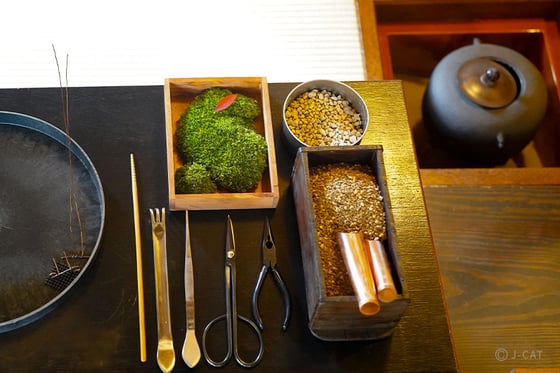 https://storage.otonami.jp/images%2Fen_nakanoya-bonsai_sub_3_7be879ee.jpg?alt=media
