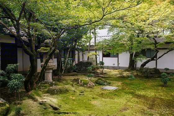 https://storage.otonami.jp/images%2Fen_ninnaji-tea_sub_2_5d6ef811.jpg?alt=media