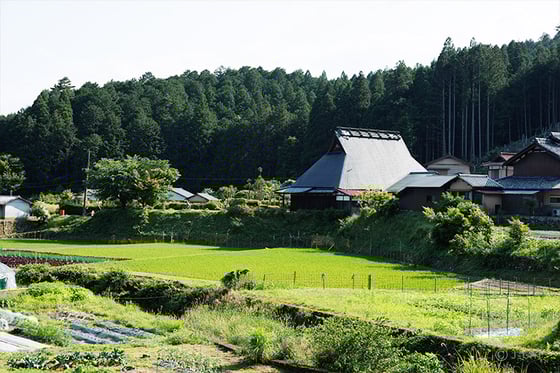 https://storage.otonami.jp/images%2Fen_noh-ohara_sub_3_f6eed8f7.jpg?alt=media