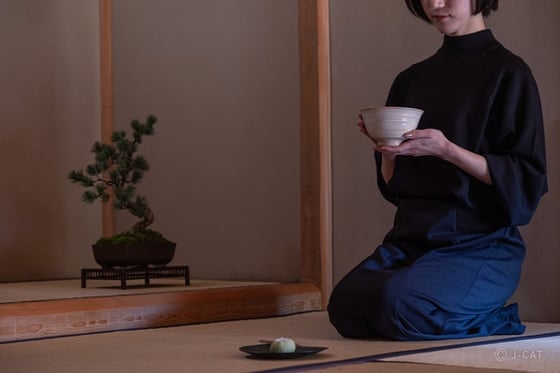 https://storage.otonami.jp/images%2Fen_shunkaen-bonsai_sub_0_2d2a91aa.jpg?alt=media