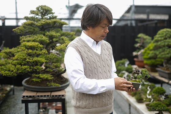 https://storage.otonami.jp/images%2Fen_suishoen-basic_sub_1_11c599ce.jpg?alt=media