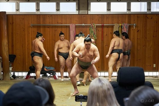 https://storage.otonami.jp/images%2Fen_sumo-2_sub_1_ad8fceaf.jpg?alt=media
