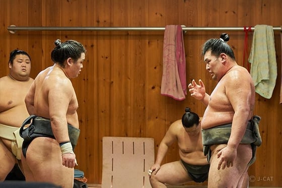 https://storage.otonami.jp/images%2Fen_sumo-2_sub_2_cd7d9f61.jpg?alt=media