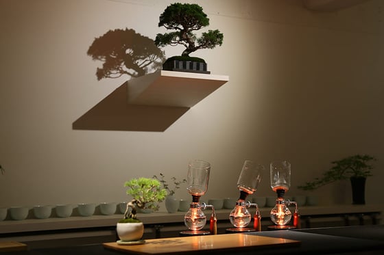 https://storage.otonami.jp/images%2Fen_syphonist-tea_thumbnail_ab65c4d4.jpg?alt=media