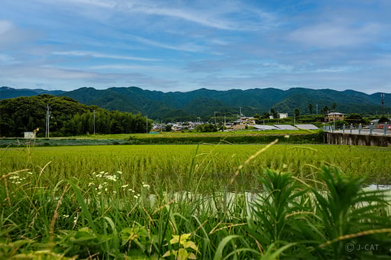 https://storage.otonami.jp/images%2Fen_umenoyado_sub_3_62621460.jpg?alt=media