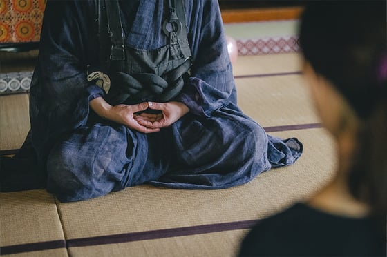 An Evening of Tranquility: Private Zazen and Unique Plant